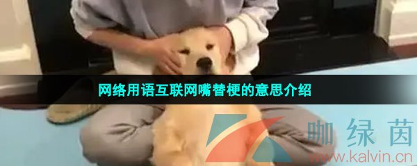 网络用语互联网嘴替梗的意思介绍