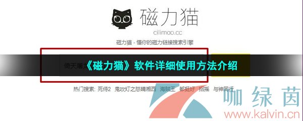 《磁力猫》软件详细使用方法介绍