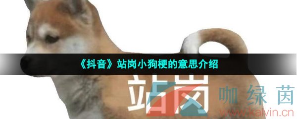 《抖音》站岗小狗梗的意思介绍