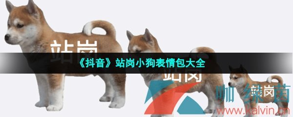 《抖音》站岗小狗表情包大全