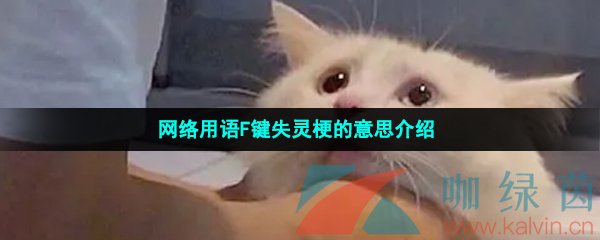 网络用语F键失灵梗的意思介绍