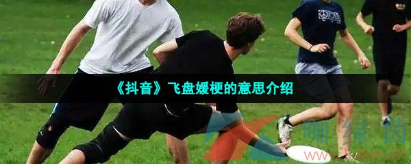 《抖音》飞盘媛梗的意思介绍