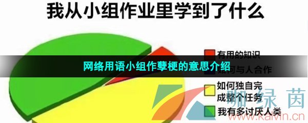 网络用语小组作孽梗的意思介绍