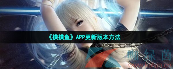 《摸摸鱼》APP更新版本方法