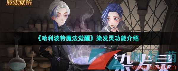 《哈利波特魔法觉醒》染发灵功能介绍