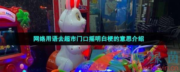 网络用语去超市门口摇明白梗的意思介绍