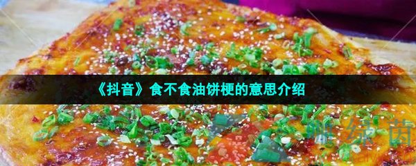 《抖音》食不食油饼梗的意思介绍