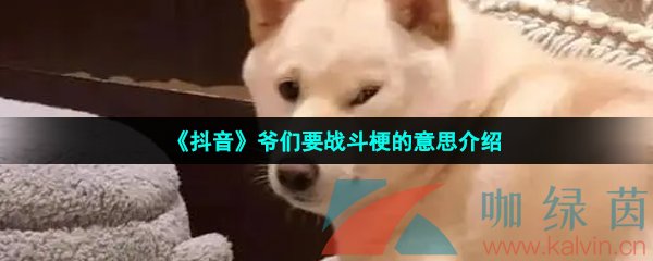 《抖音》爷们要战斗梗的意思介绍