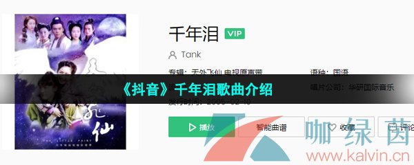 《抖音》千年泪歌曲介绍