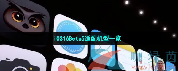 iOS16Beta5适配机型一览