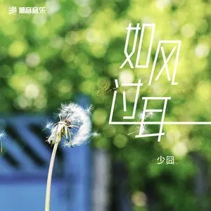 《抖音》如风过耳歌曲介绍