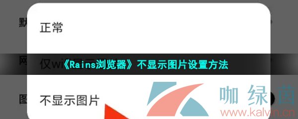 《Rains浏览器》不显示图片设置方法