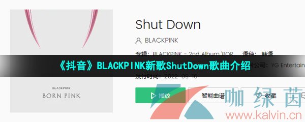 《抖音》BLACKPINK新歌ShutDown歌曲介绍