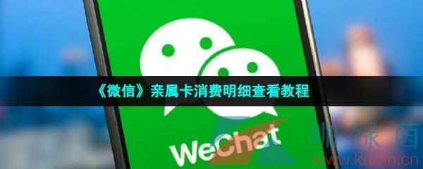 《微信》亲属卡消费明细查看教程