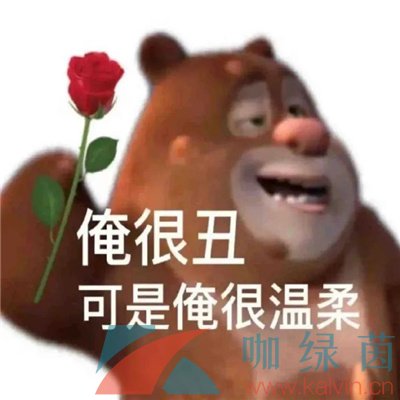 《抖音》微瑕梗的意思介绍