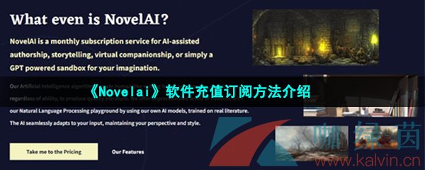 《Novelai》软件充值订阅方法介绍