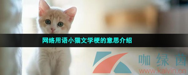 网络用语小猫文学梗的意思介绍