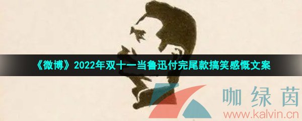 《微博》2022年双十一当鲁迅付完尾款搞笑感慨文案