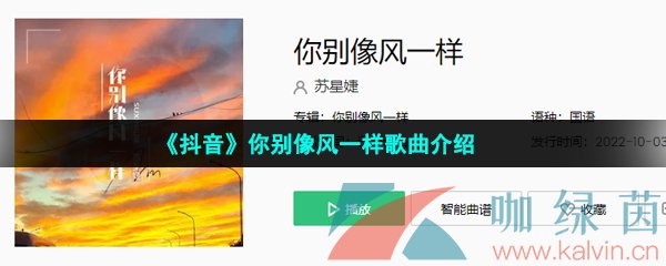 《抖音》你别像风一样歌曲介绍