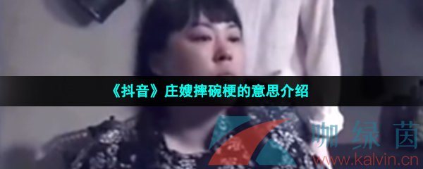 《抖音》庄嫂摔碗梗的意思介绍