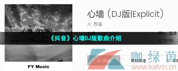 《抖音》心墙DJ版歌曲介绍