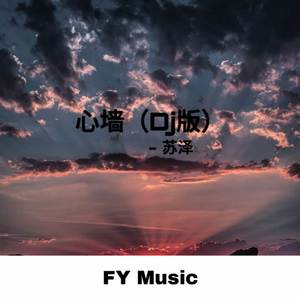 《抖音》心墙DJ版歌曲介绍