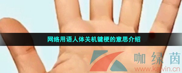 网络用语人体关机键梗的意思介绍