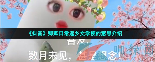 《抖音》卿卿日常返乡文学梗的意思介绍