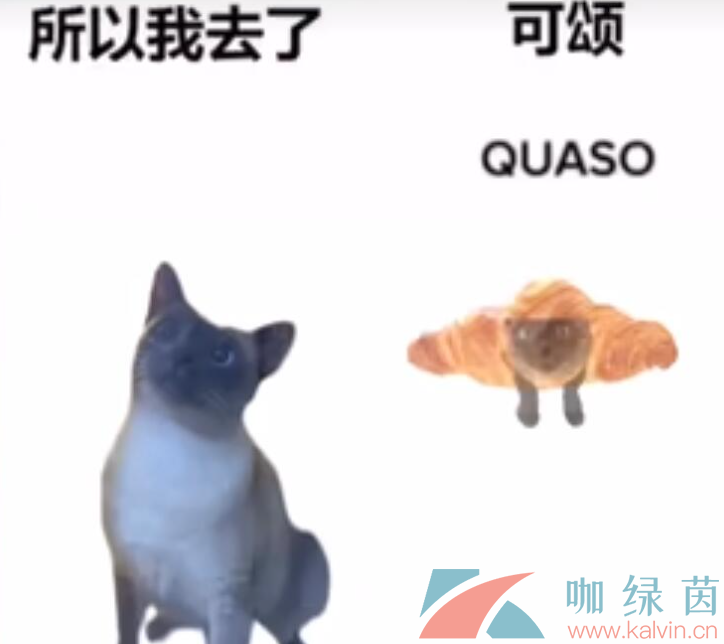 《抖音》可颂猫梗的意思介绍