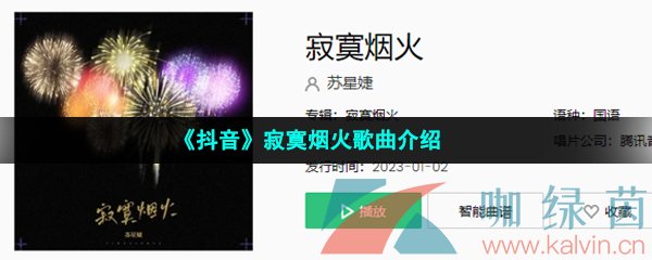 《抖音》寂寞烟火歌曲介绍