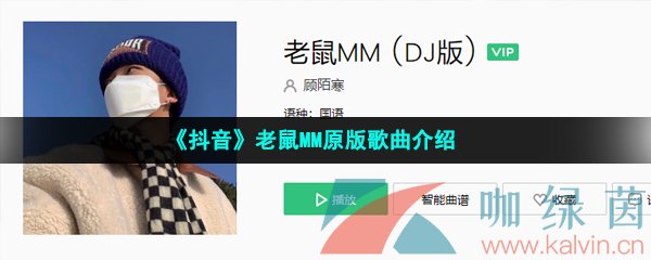《抖音》老鼠MM原版歌曲介绍
