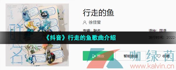 《抖音》行走的鱼歌曲介绍