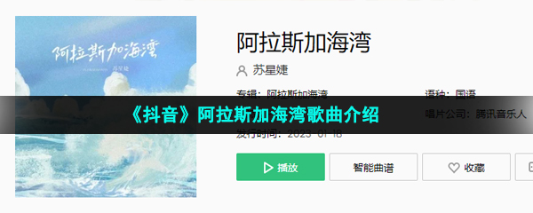 《抖音》阿拉斯加海湾歌曲介绍