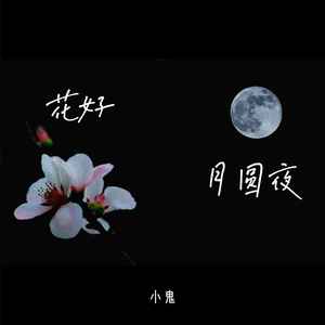 《抖音》花好月圆夜歌曲介绍