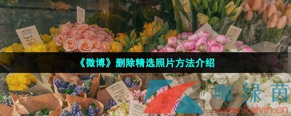 《微博》删除精选照片方法介绍