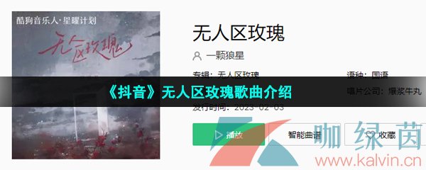 《抖音》无人区玫瑰歌曲介绍