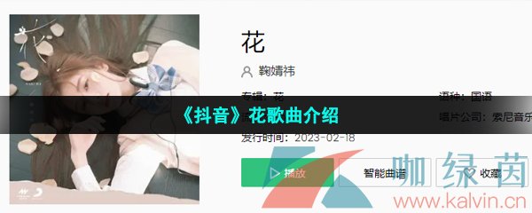 《抖音》花歌曲介绍