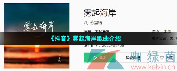 《抖音》雾起海岸歌曲介绍