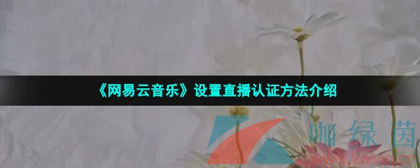 《网易云音乐》直播认证方法介绍