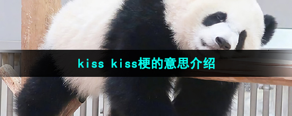 网络用语kiss kiss梗的意思介绍