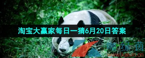 《淘宝》2023年淘宝大赢家每日一猜6月20日答案