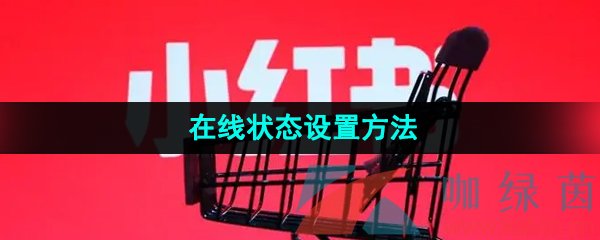 《小红书》在线状态设置方法