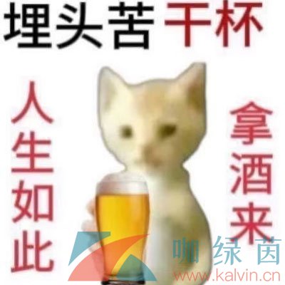 《抖音》少年自有少年狂梗的意思介绍