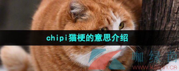 《抖音》chipi猫梗的意思介绍