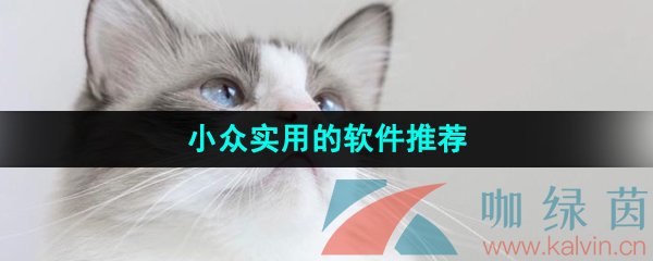 2024小众实用的软件推荐