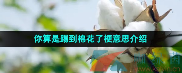 《抖音》你算是踢到棉花了梗意思介绍