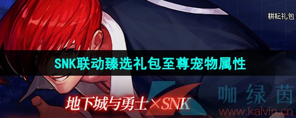 《DNF》2024五一SNK联动臻选礼包至尊宠物属性