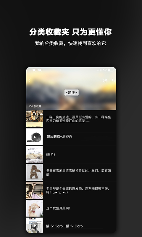 毛球手机软件app截图