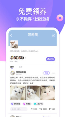 宠优优手机软件app截图