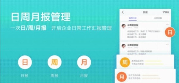 蜂鸟汇报手机软件app截图